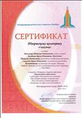 Сертификат за участие в Четвертом открытом фестивале "Мультимедиа в образовании" и публикацию образовательного материала "Презентация проекта "Зимушка - зима". Досуг "В гостях у Снежной Королевы", 2013 год